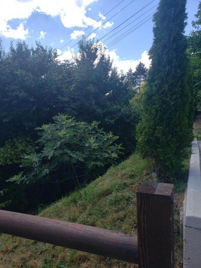 Vila Slankamenka Stari Slankamen Экстерьер фото
